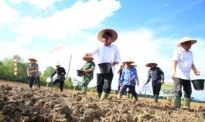 db74db30-2689-443e-ac34-50fbe5607ab6