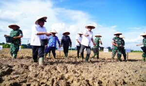 e76a57b9-512a-4afc-bb51-7dd22a7cb171