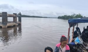 3541c19d-001c-493f-ad60-7788f590726b