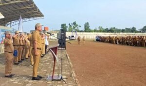 78e94222-1894-4840-9c50-7b5f314f6459